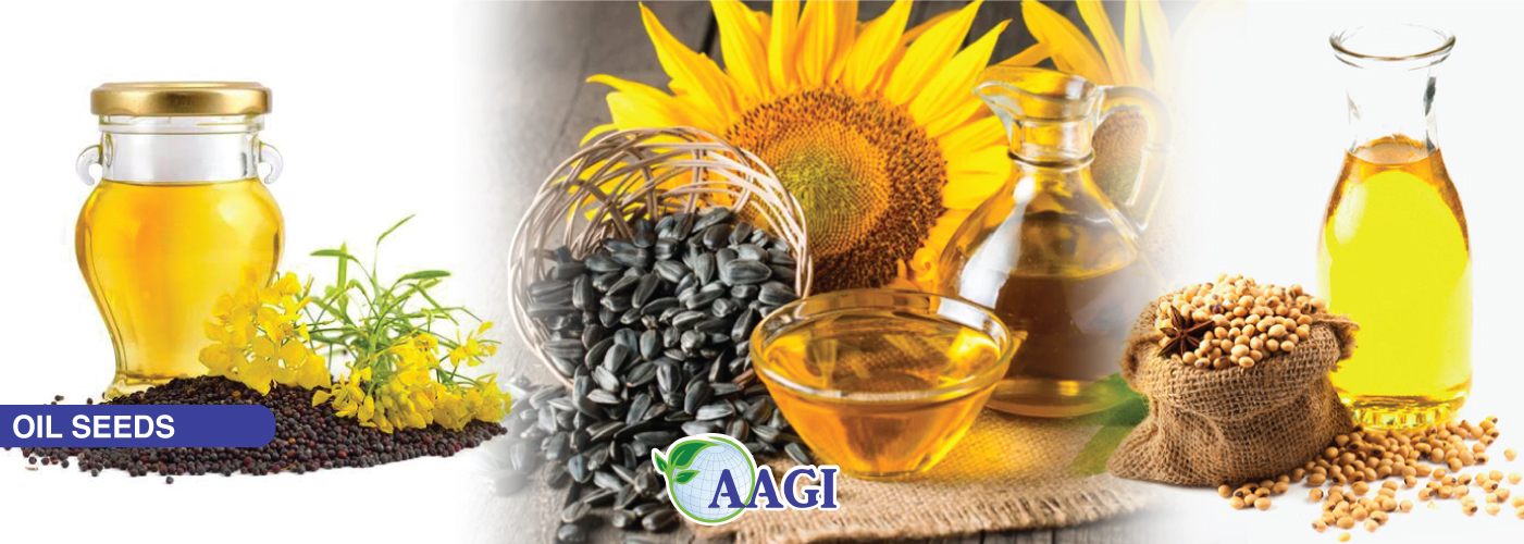 Oil Seeds and Extracts (Animal Feed)
